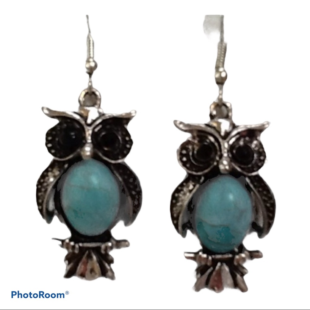 Silver‎ Turquoise Owl Fishhook Earrings NWT